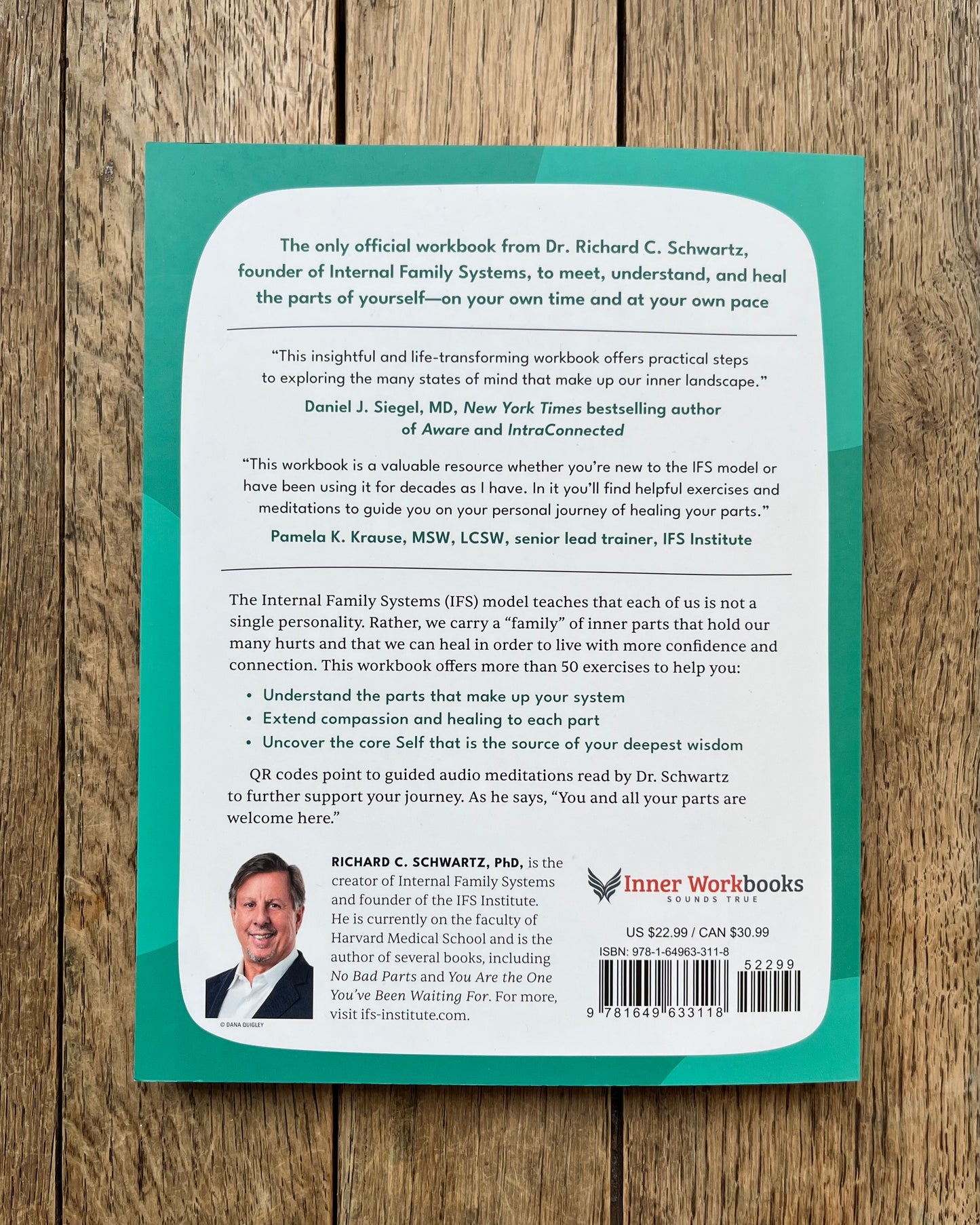 The Internal Family Systems Workbook