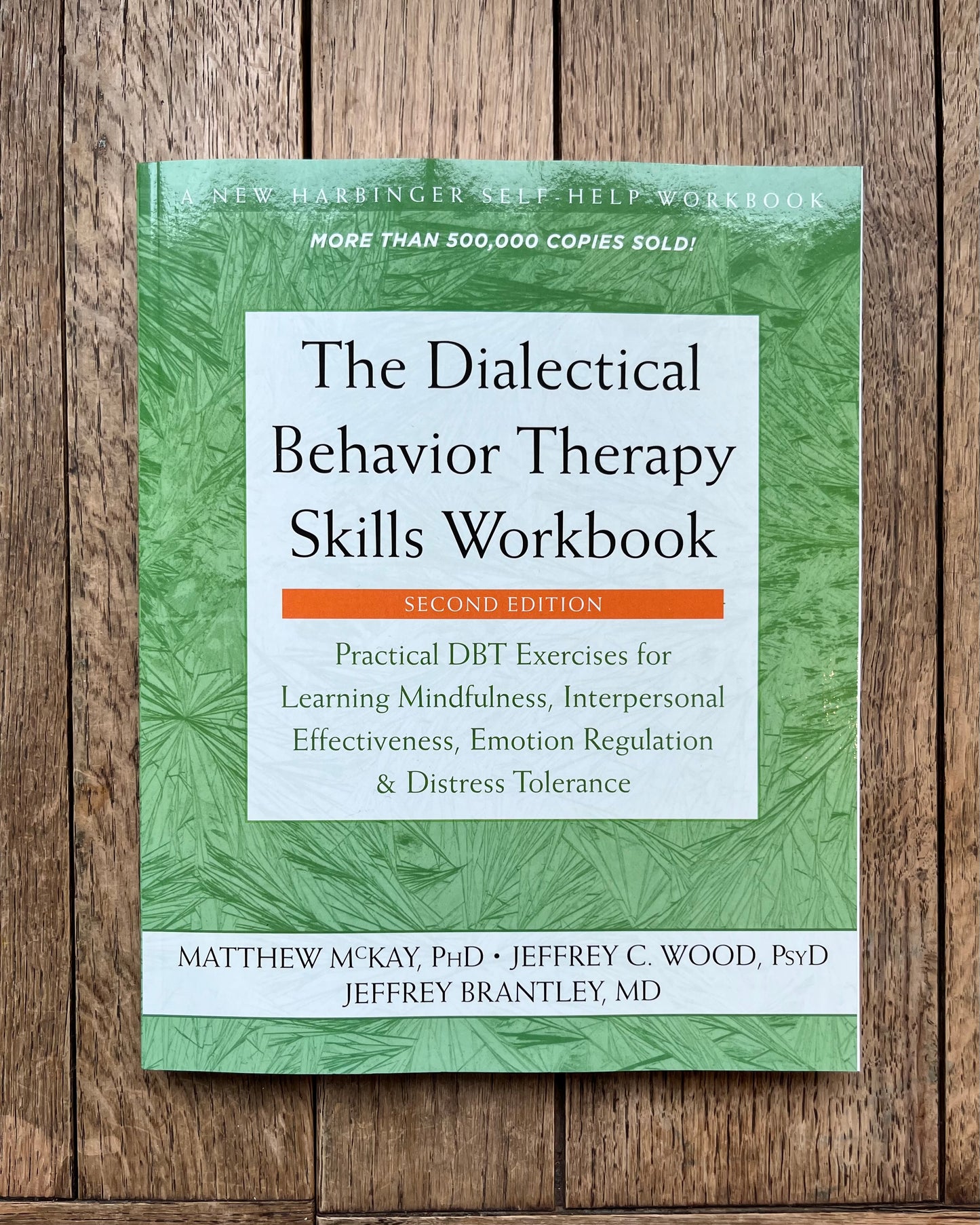 The Dialectical Behavior Therapy Skills Workbook
