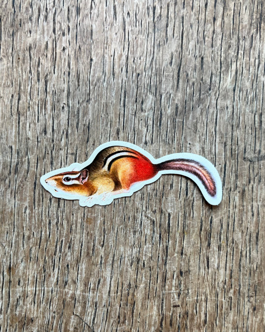 Suspicious Chipmunk - Sticker