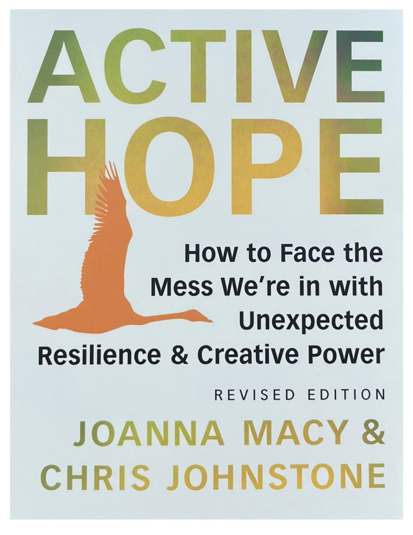 Active Hope