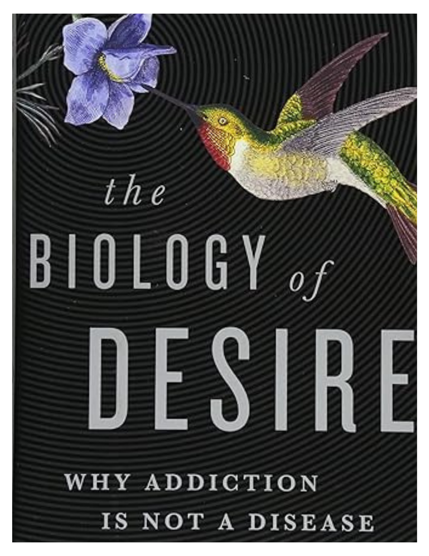 Biology of Desire: Why Addiction Is Not a Disease