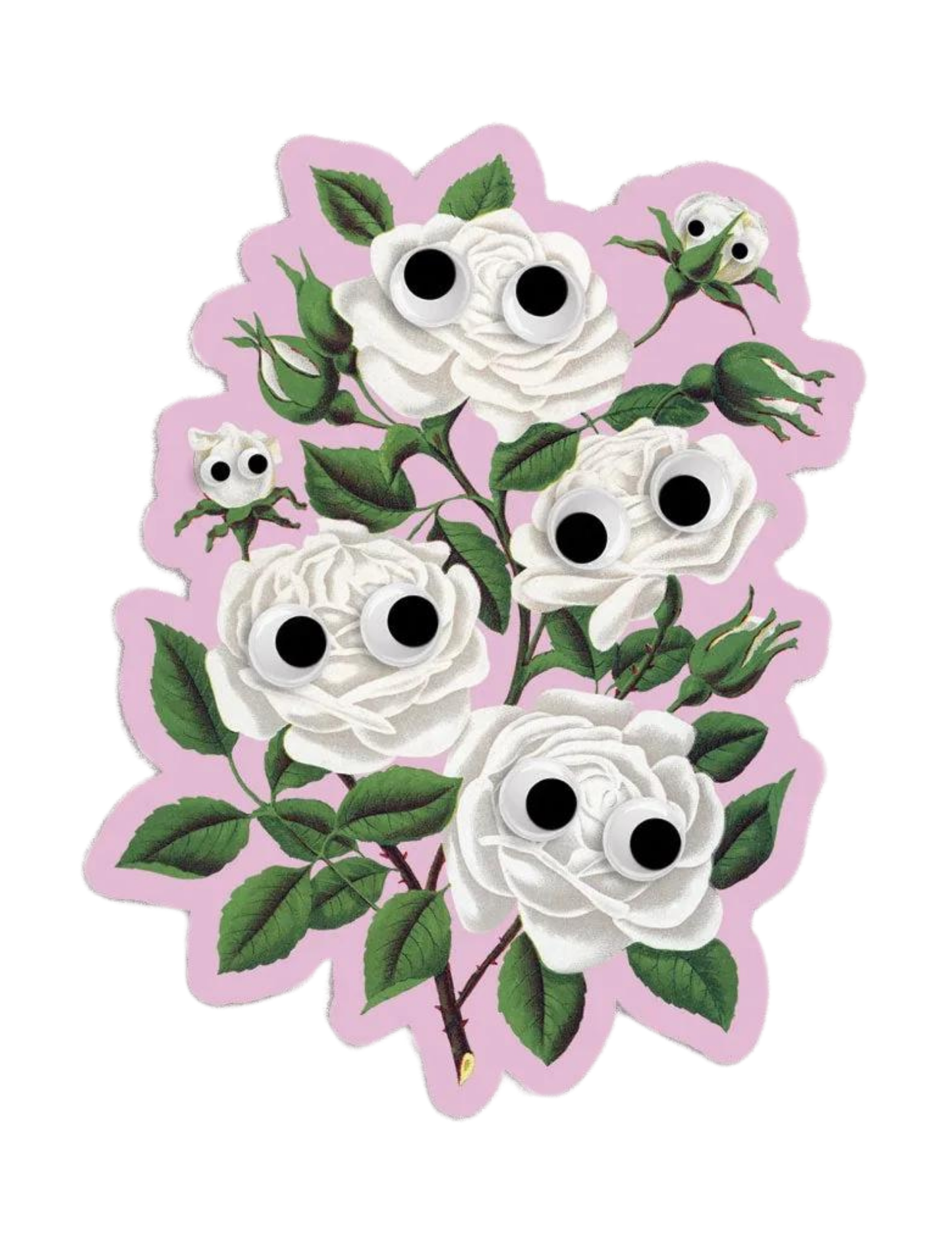 Googly White Roses - Vinyl Sticker