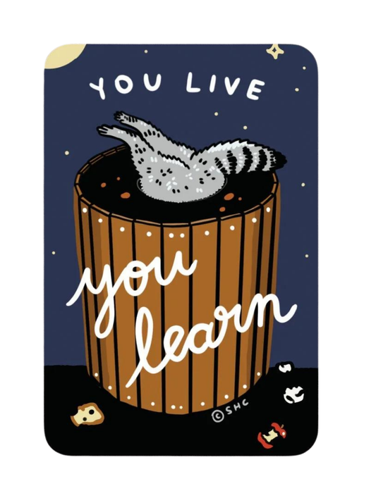 You Live You Learn - Vinyl Sticker