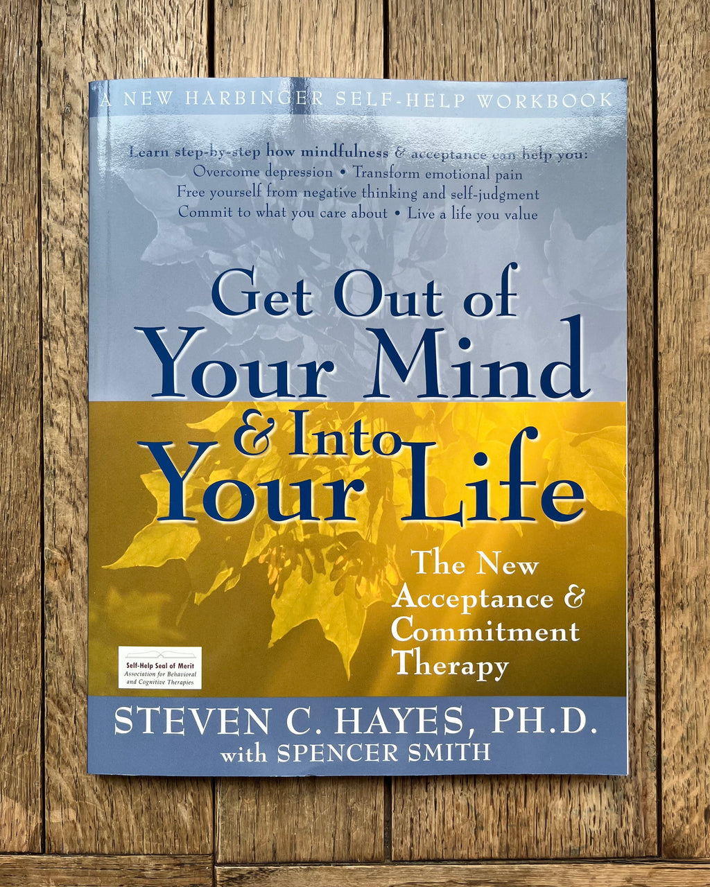Get Out of Your Mind & Into Your Life