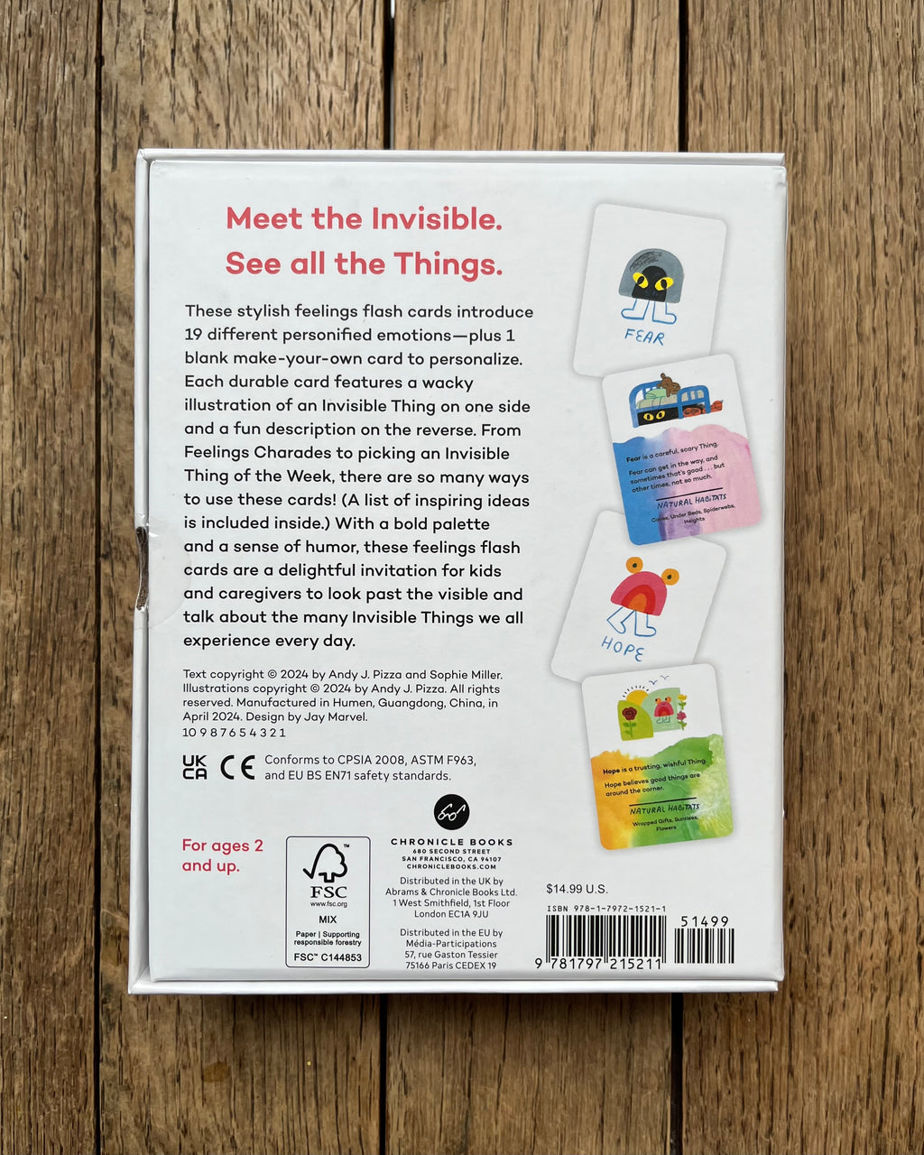 Invisible Things Feelings Flash Cards