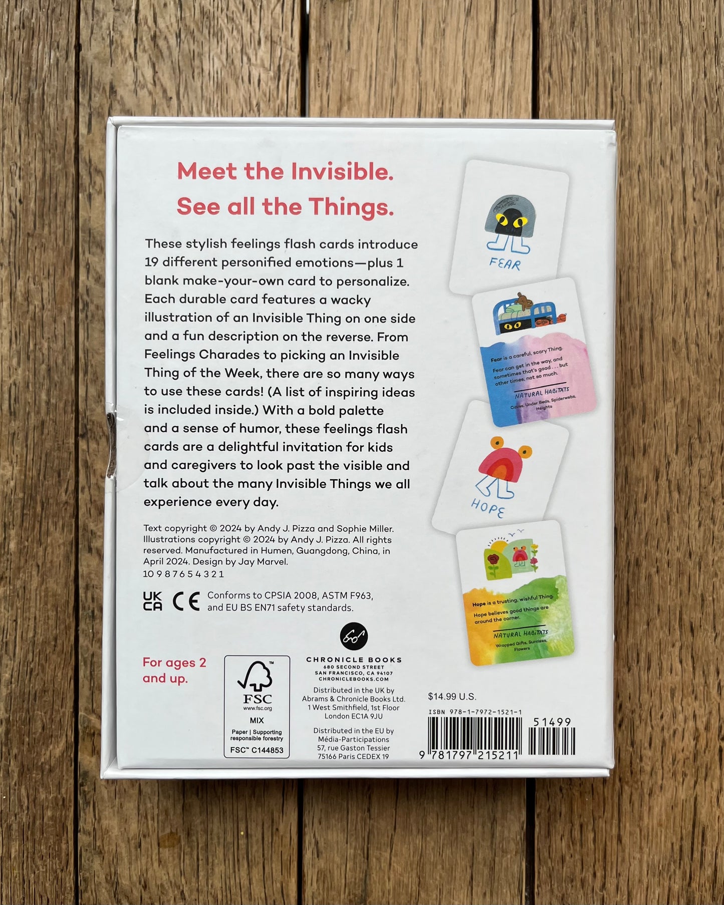 Invisible Things Feelings Flash Cards