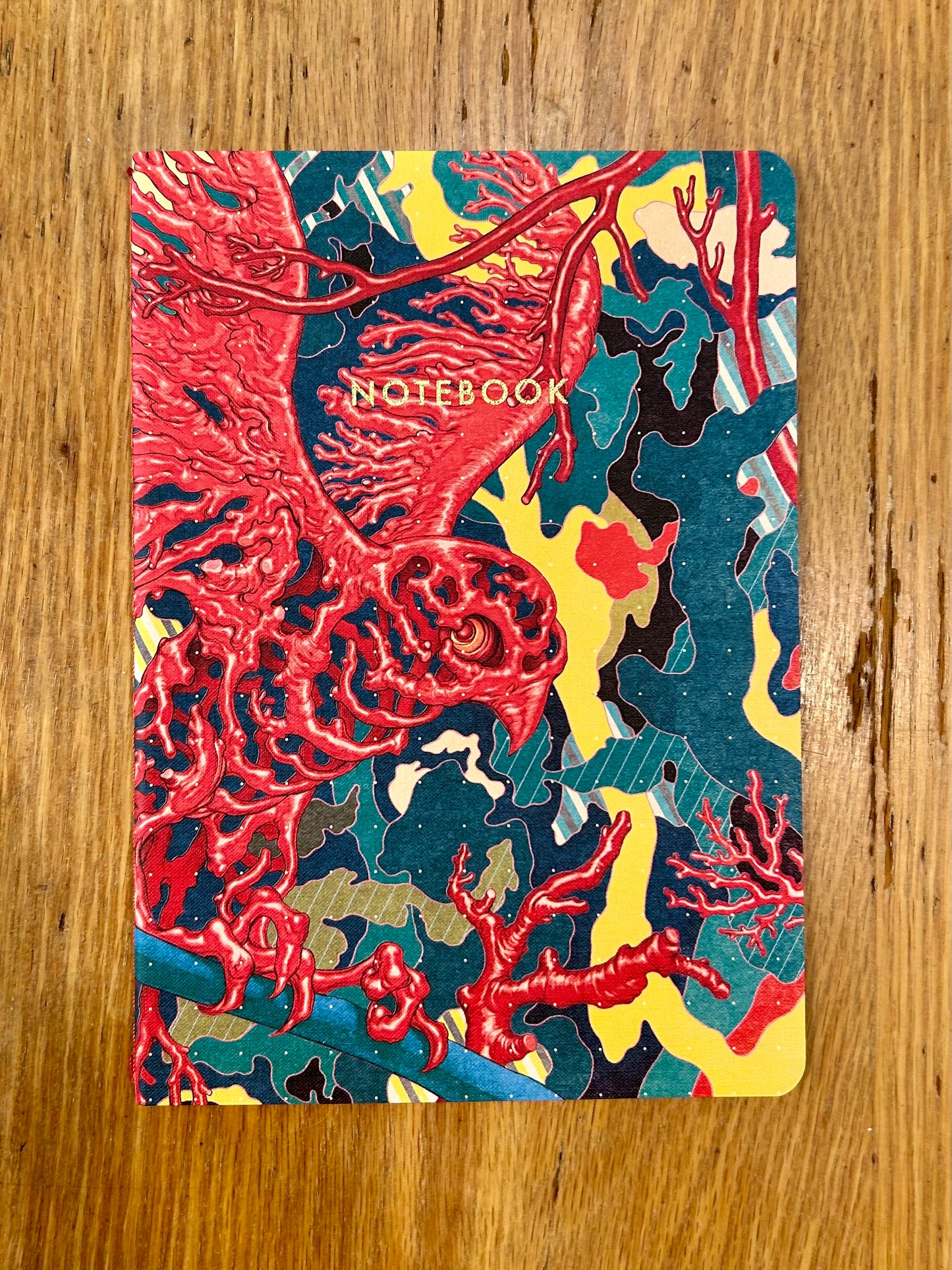 James Jean: Schema Notebooks