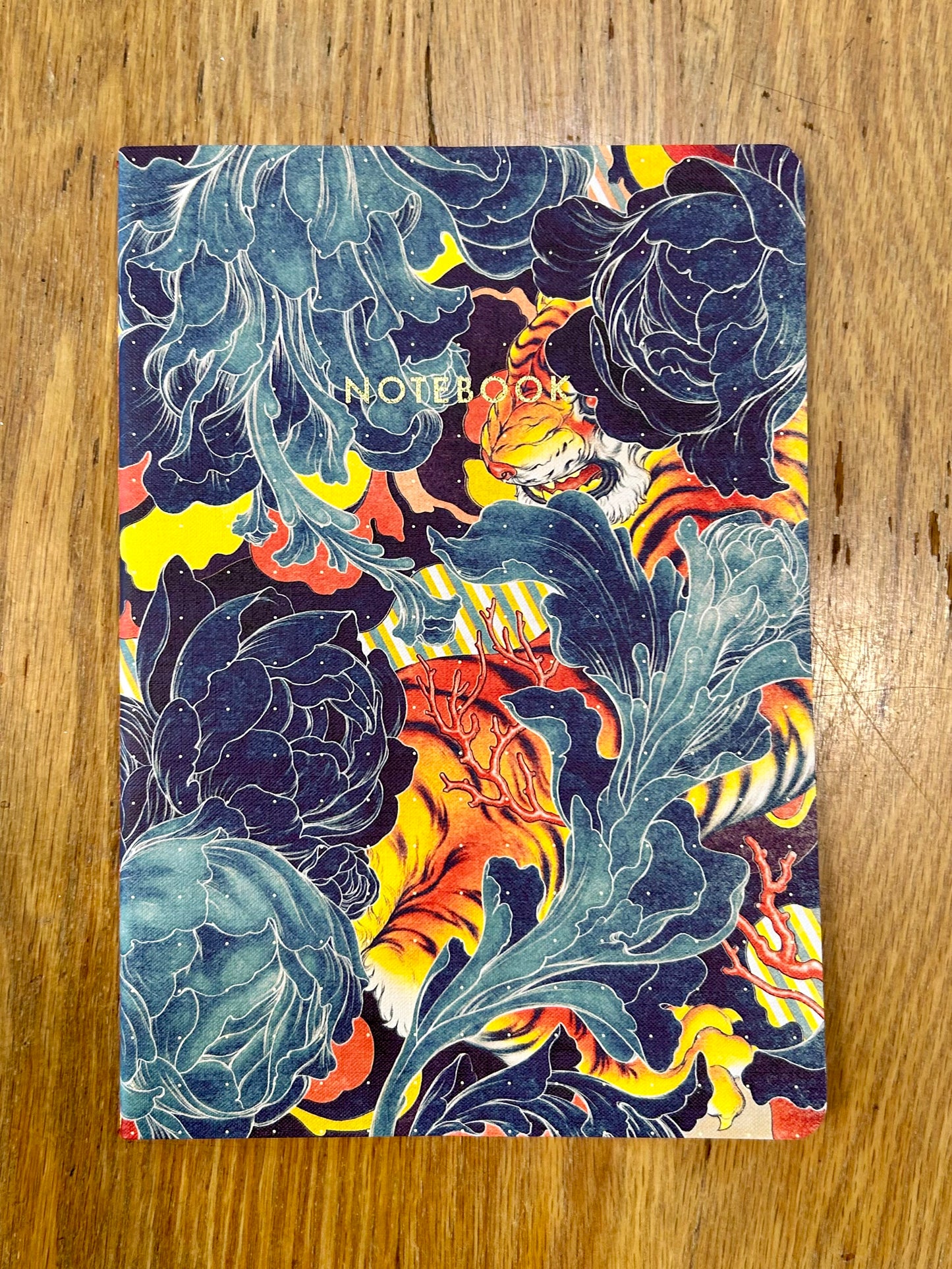 James Jean: Schema Notebooks