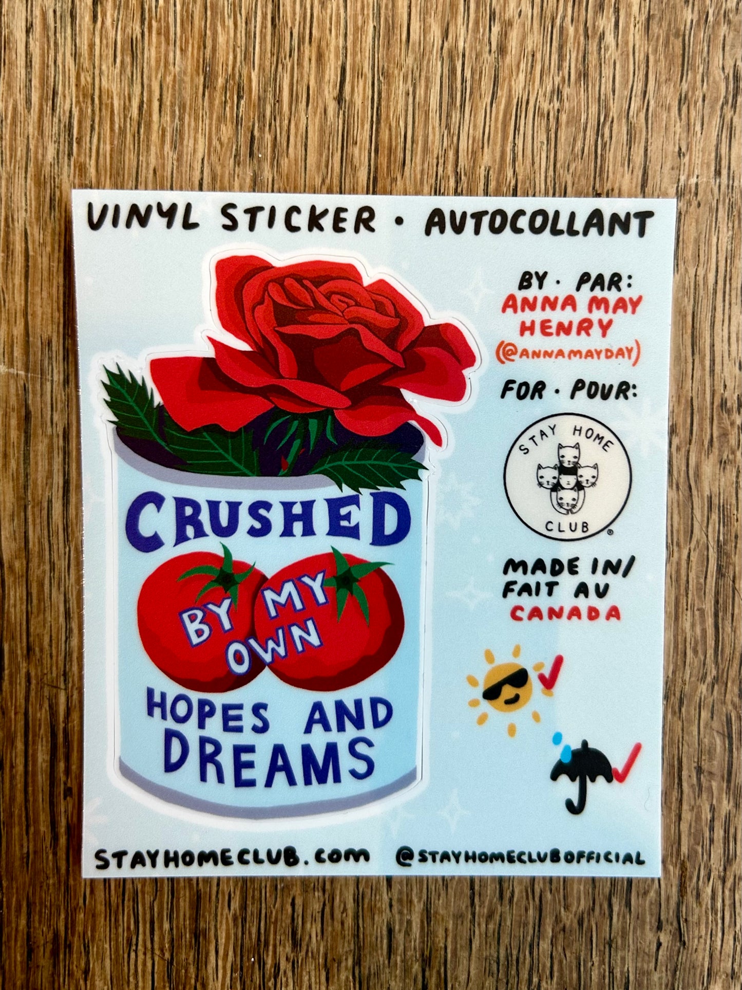 Crushed By My Own Hopes and Dreams - Vinyl Sticker