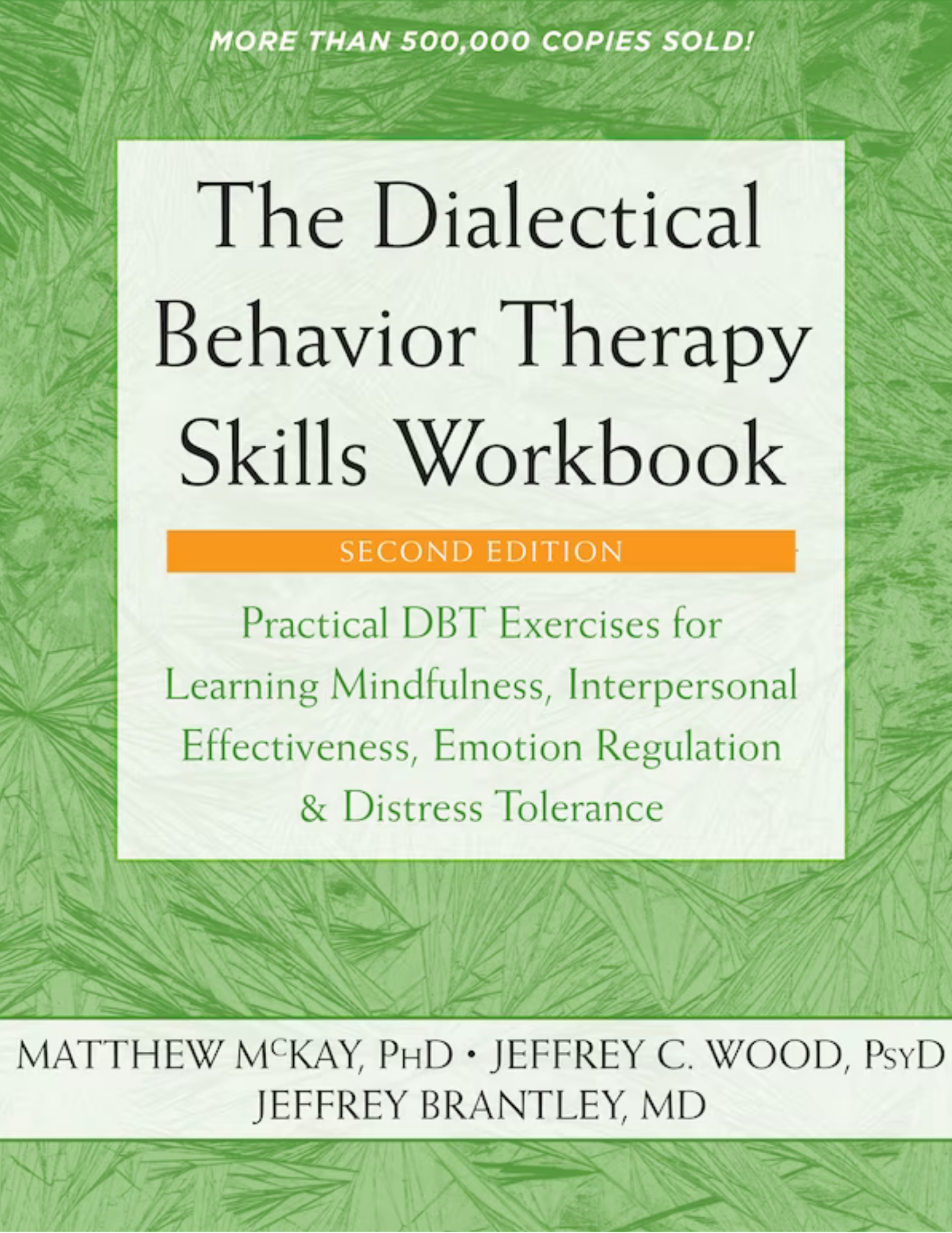 The Dialectical Behavior Therapy Skills Workbook