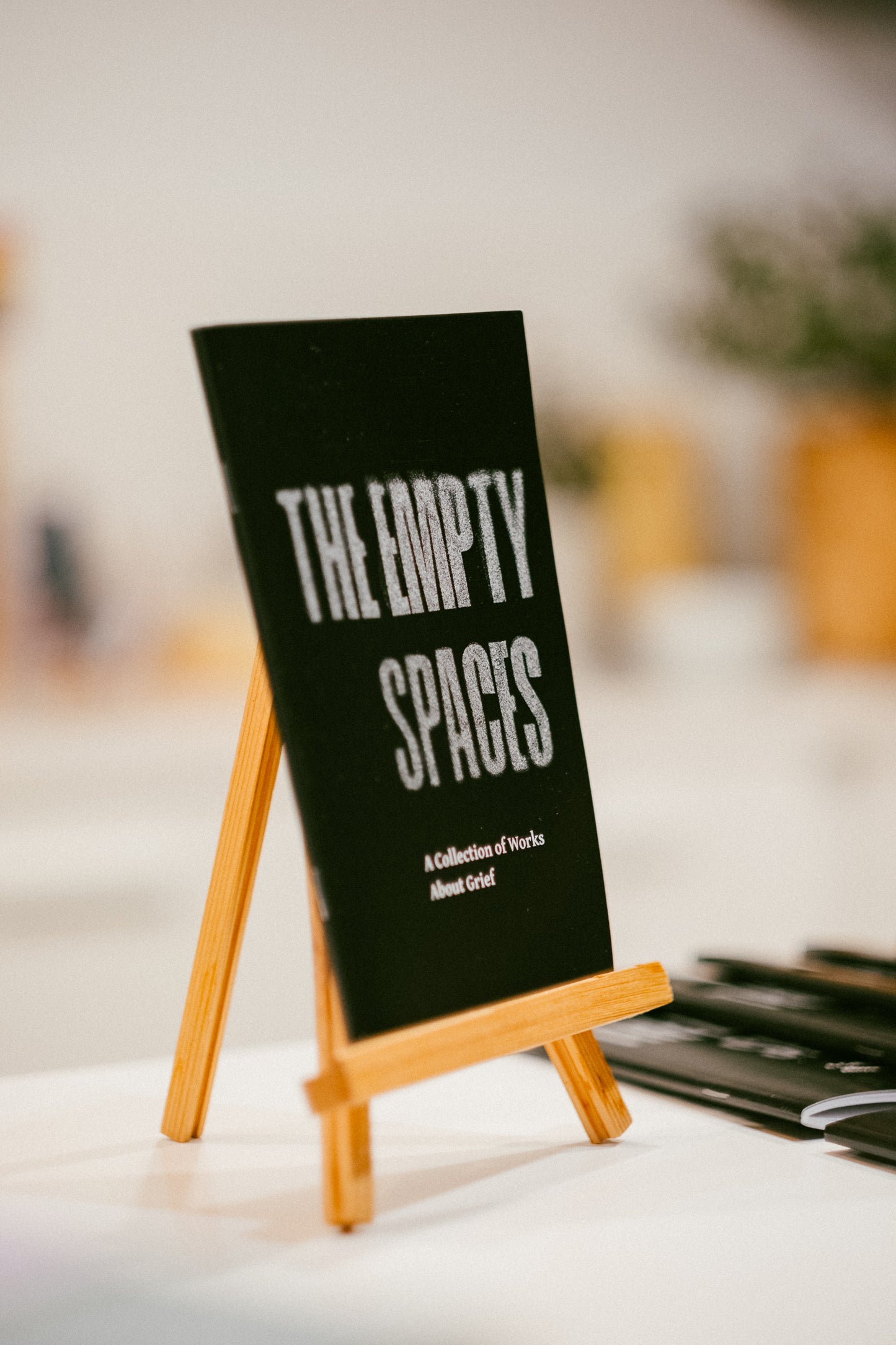 The Empty Spaces Zine