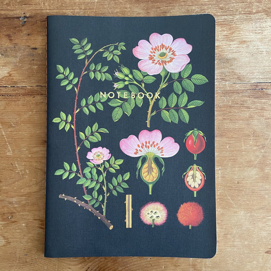 Art of Instruction Notebook