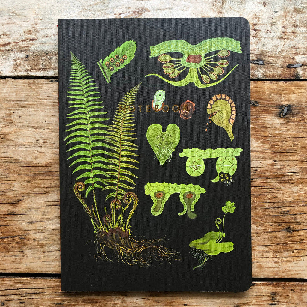 Art of Instruction Notebook